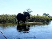 BOTSWANA Roberto e Lidia - 059